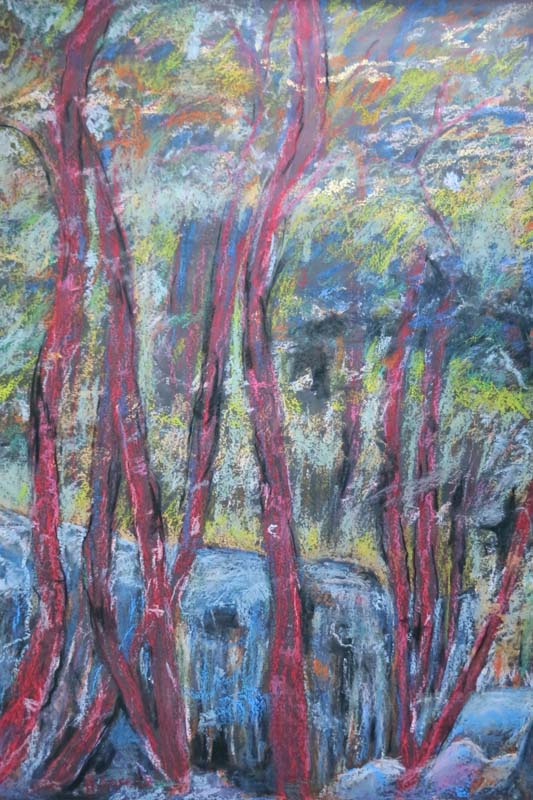 Les arbres rouges